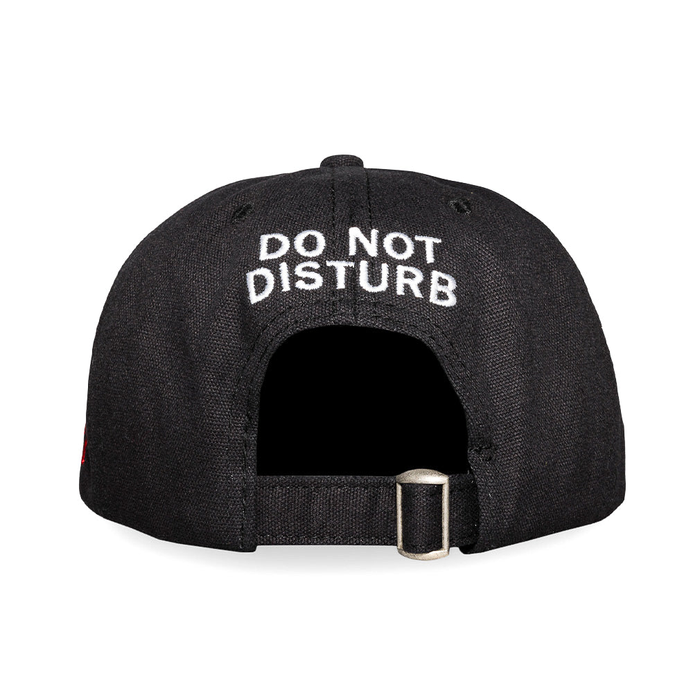 Pleasures Disturb Strapback Hat